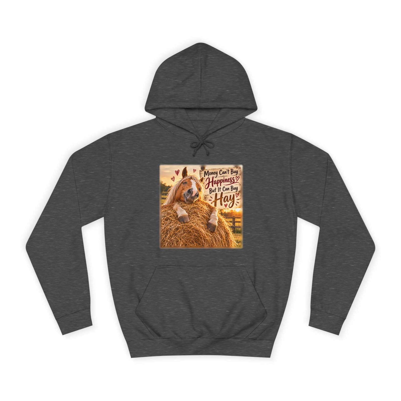 Money Can't Buy Happiness But It Can Buy Hay Hoodie, Funny Horse Jumper, Equestrian Gift, Horse Lover Sweater, Pony Mum Gift - Image 7
