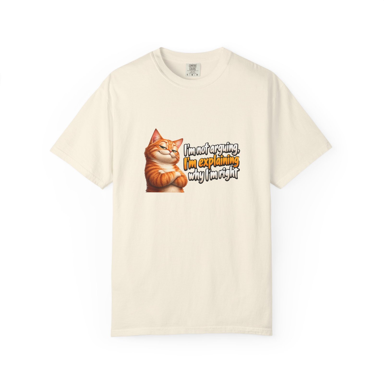 I'm Not Arguing I'm Explaining Why I'm Right T-Shirt, Funny Cat Shirt, Sarcastic Ginger Cat Tee, Cat Lover Gift - Image 5