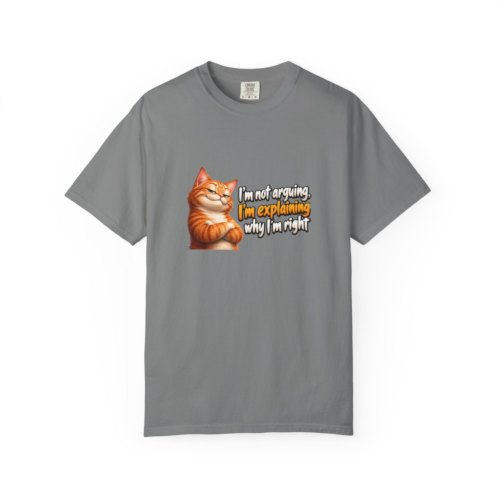 I'm Not Arguing I'm Explaining Why I'm Right T-Shirt, Funny Cat Shirt, Sarcastic Ginger Cat Tee, Cat Lover Gift - Image 6