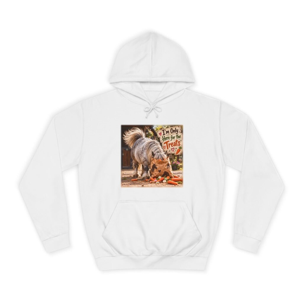 I'm Only Here for the Treats Hoodie, Funny Pony Jumper, Equestrian Gift, Horse Lover Sweater, Shetland Pony Gift, Pony Mum Gift