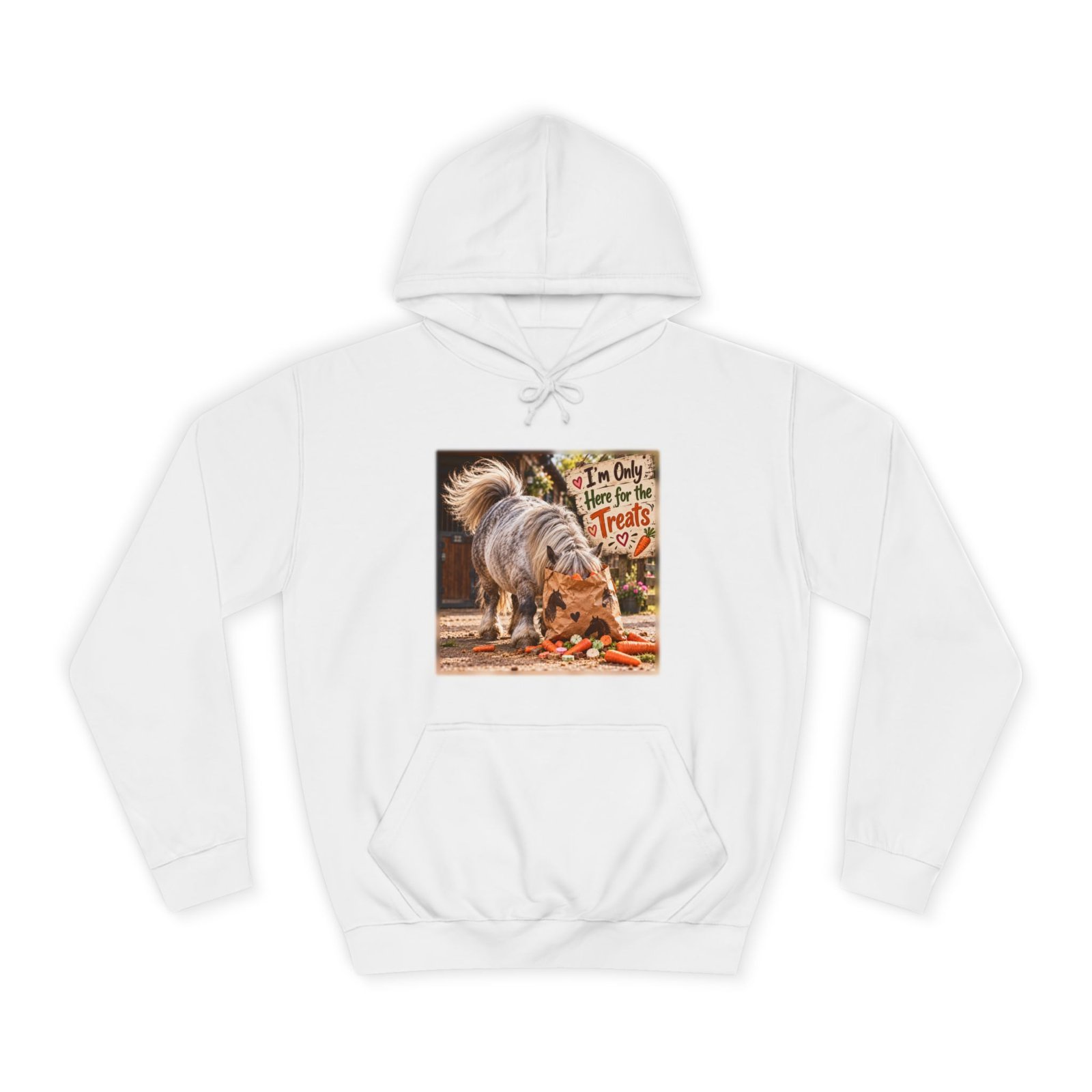 I'm Only Here for the Treats Hoodie, Funny Pony Jumper, Equestrian Gift, Horse Lover Sweater, Shetland Pony Gift, Pony Mum Gift