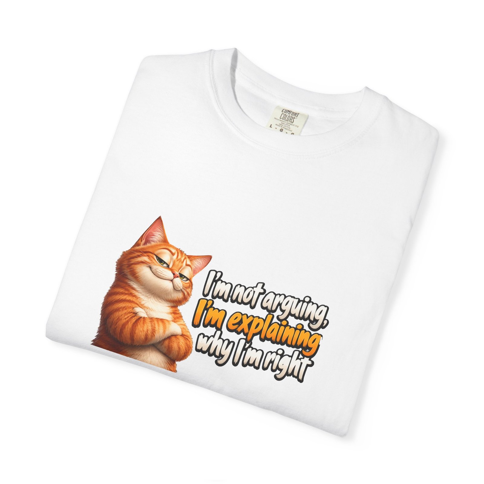 I'm Not Arguing I'm Explaining Why I'm Right T-Shirt, Funny Cat Shirt, Sarcastic Ginger Cat Tee, Cat Lover Gift - Image 3