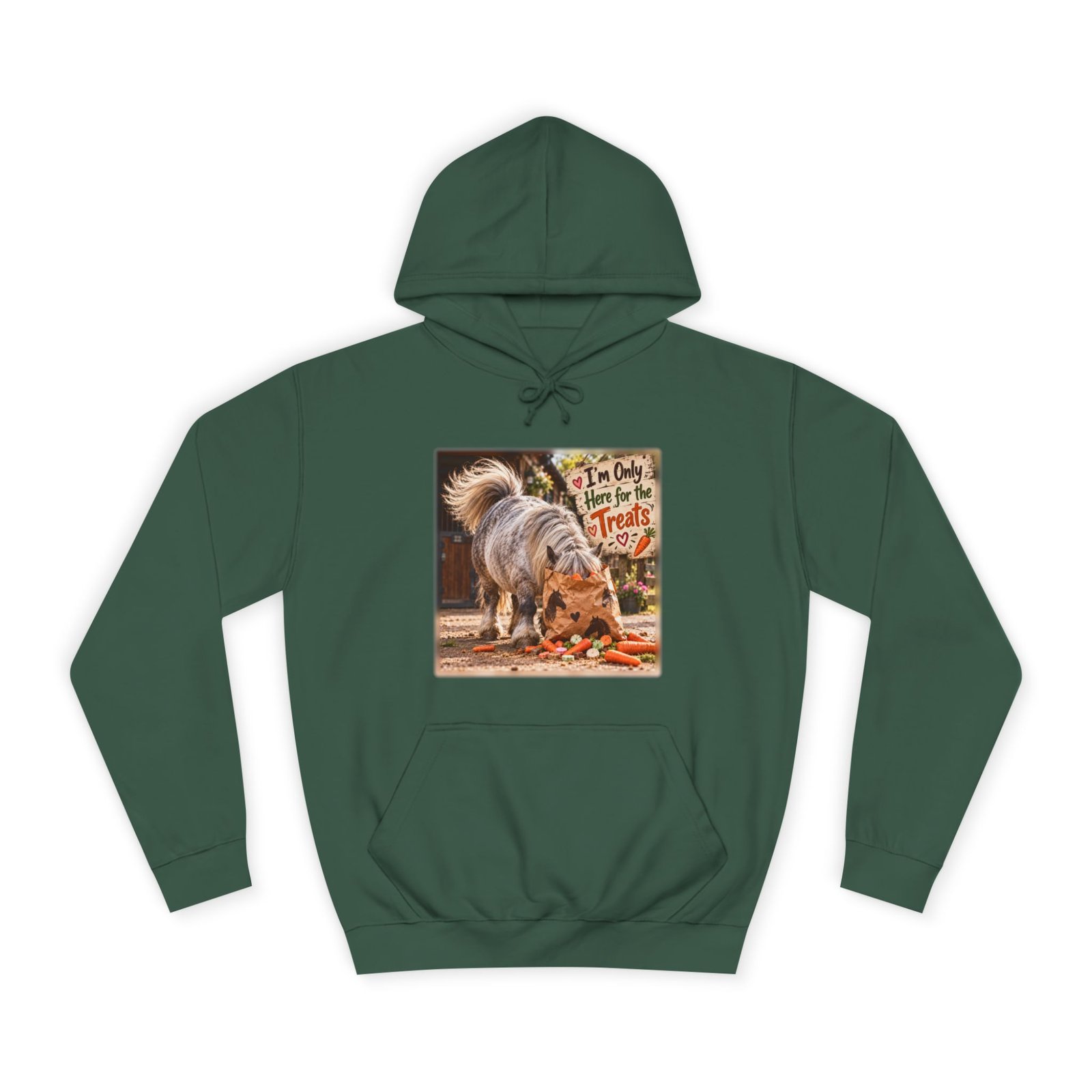 I'm Only Here for the Treats Hoodie, Funny Pony Jumper, Equestrian Gift, Horse Lover Sweater, Shetland Pony Gift, Pony Mum Gift - Image 3