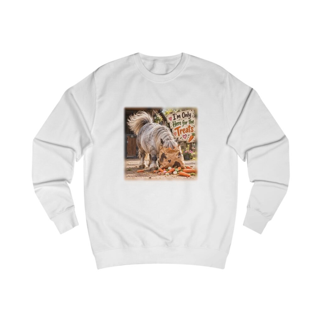 I'm Only Here for the Treats Sweatshirt, Funny Pony Jumper, Equestrian Gift, Horse Lover Sweater, Shetland Pony Gift, Pony Mum Gift